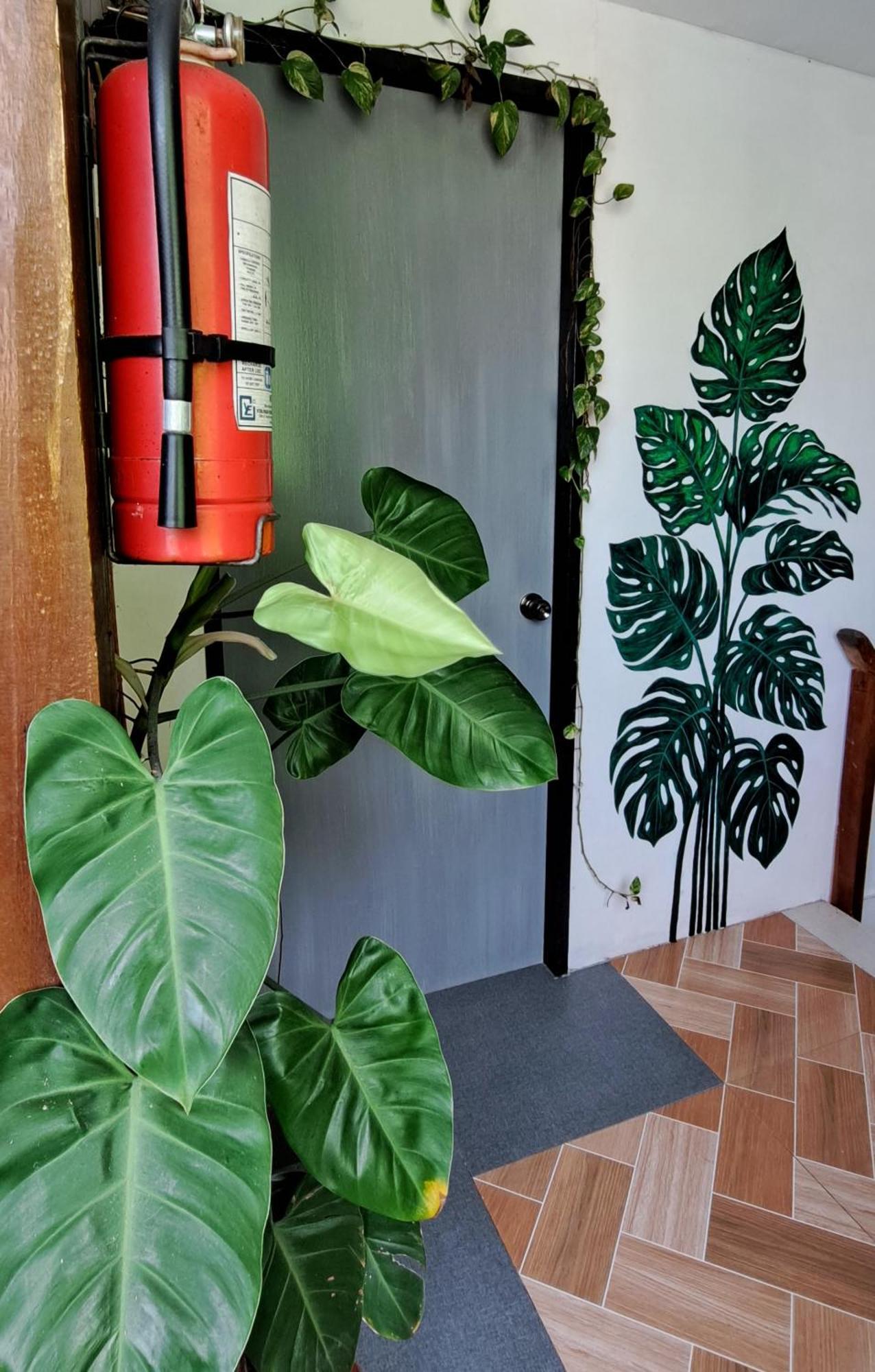 Bougainvillea Guesthouse San Juan  Ngoại thất bức ảnh